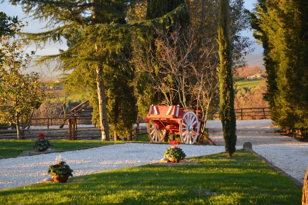 Agriturismo La Collina Pitigliano Pokój zdjęcie