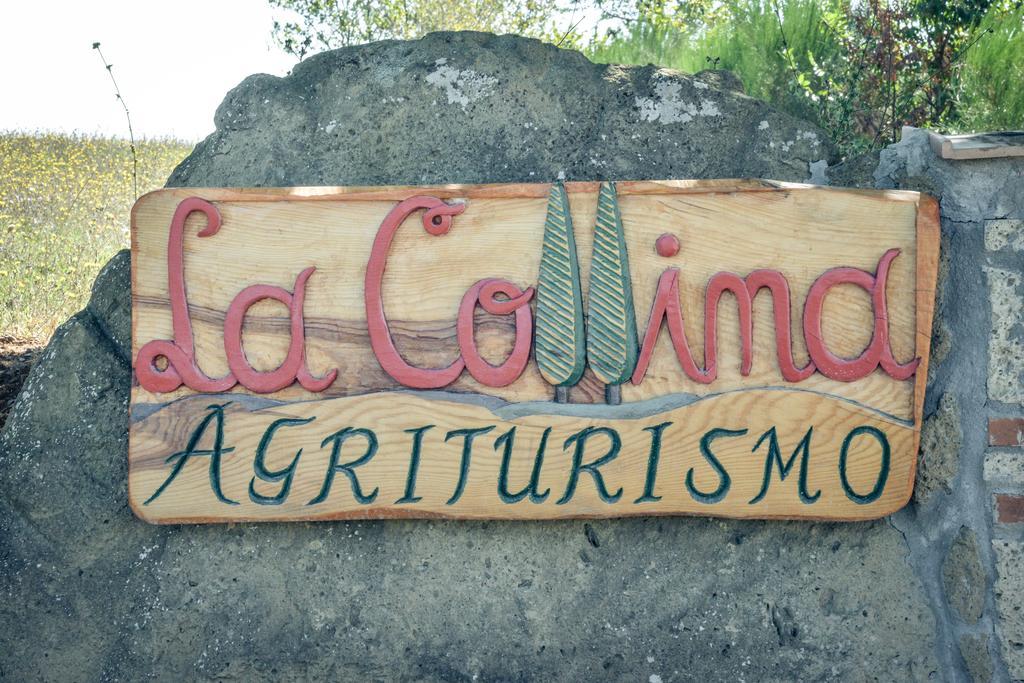 Agriturismo La Collina Pitigliano Zewnętrze zdjęcie